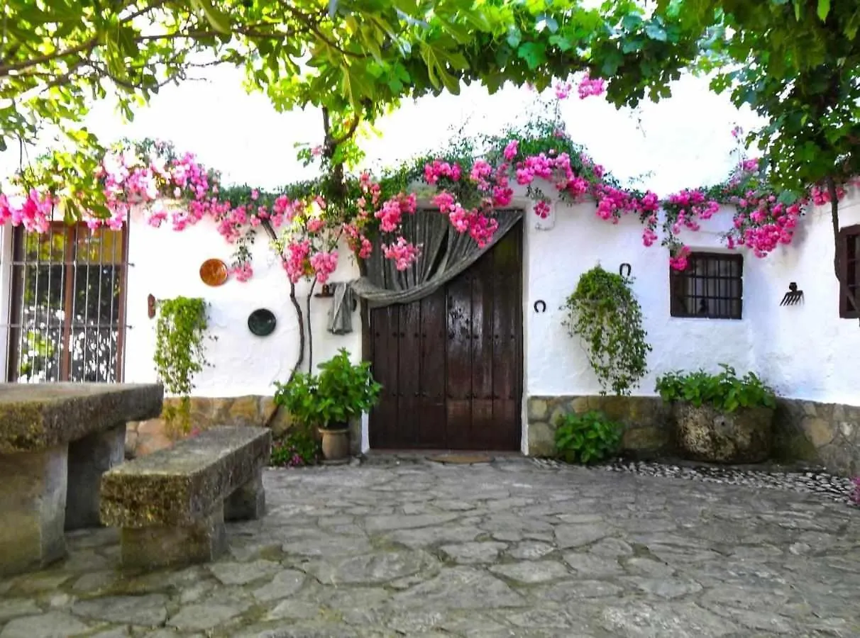 Cortijo La Gineta Country house