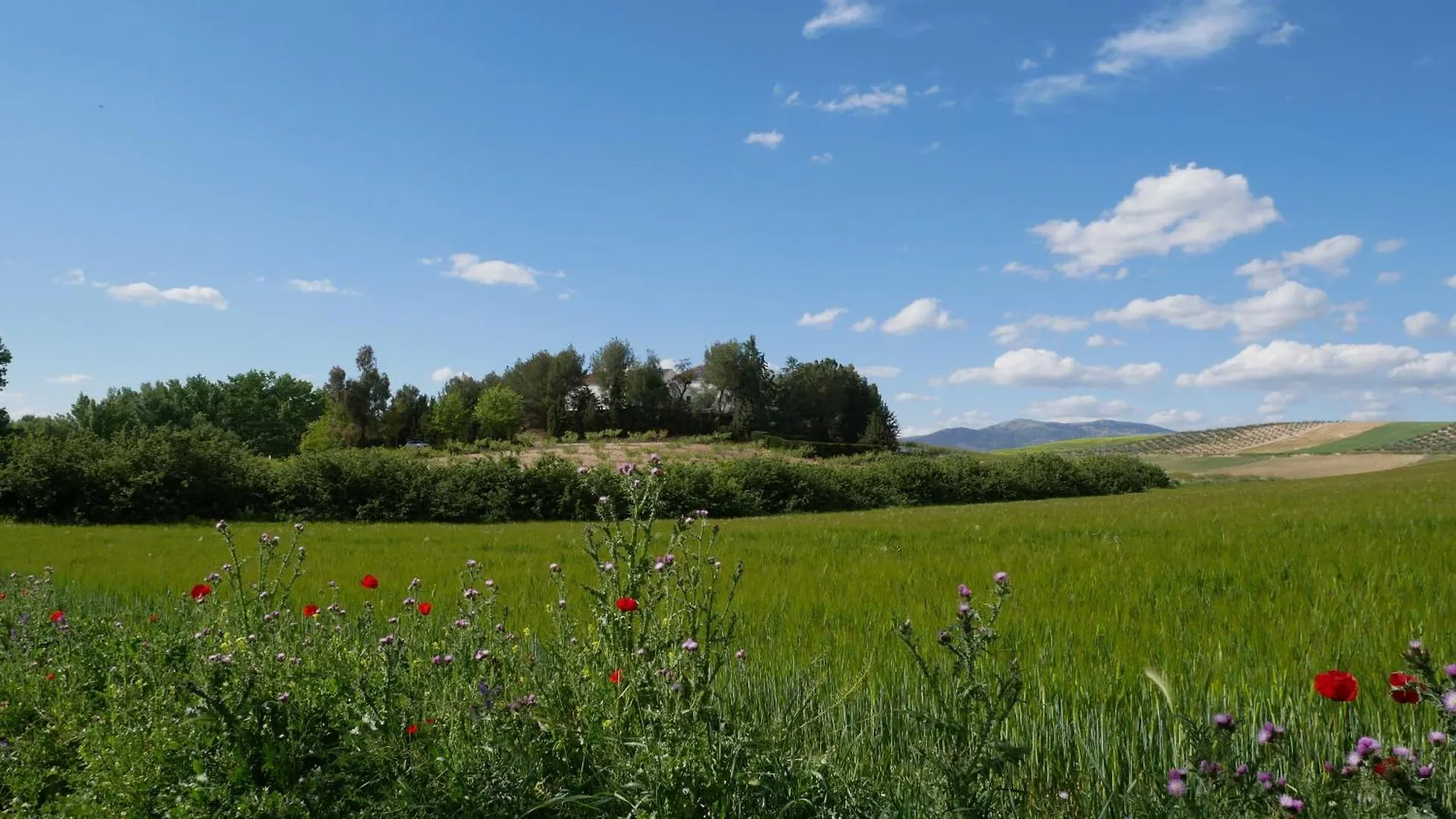 Cortijo La Gineta Country house Alcala La Real